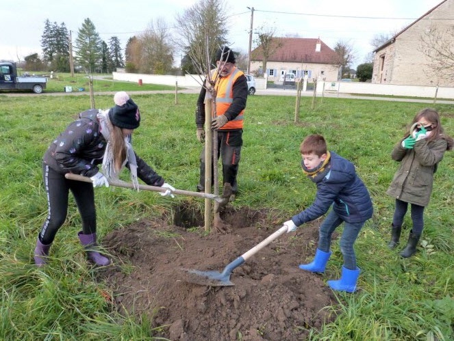 Il faut bien tasser la terre